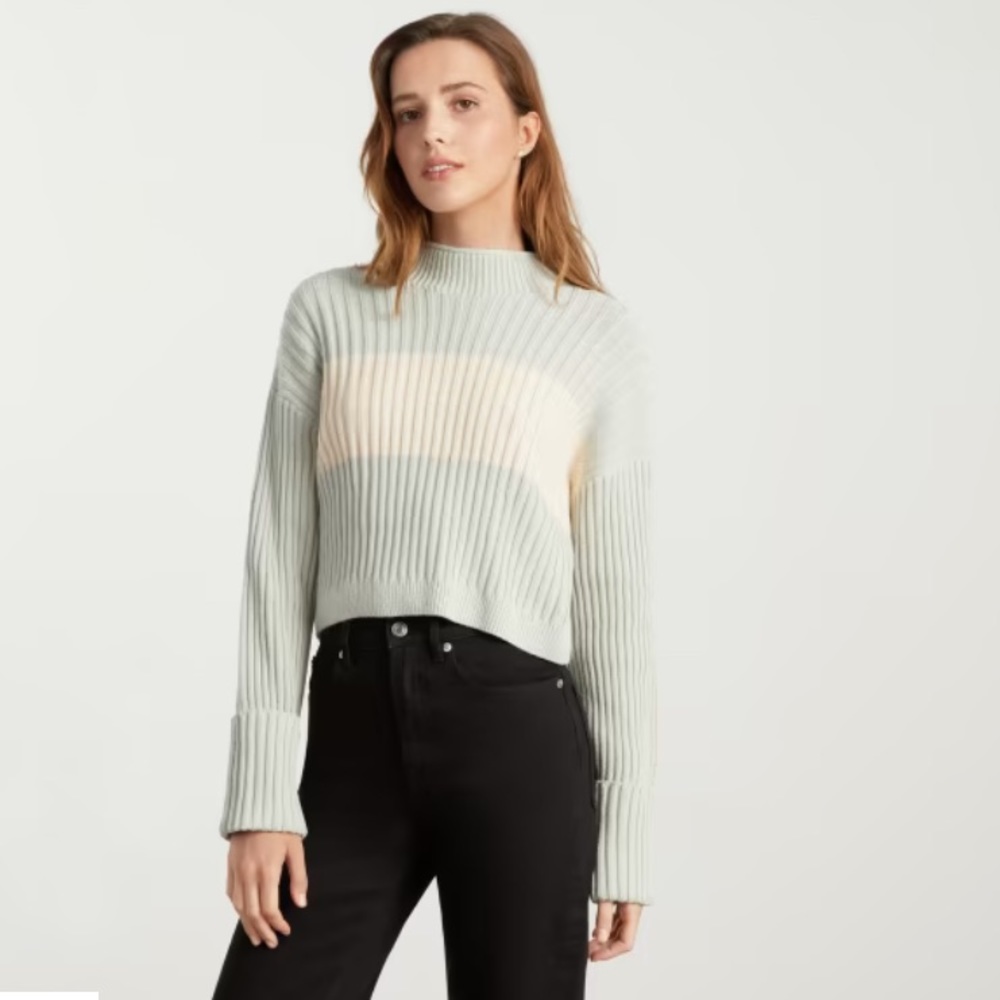 Everlane The Cotton Ribbed Rollneck Sweater